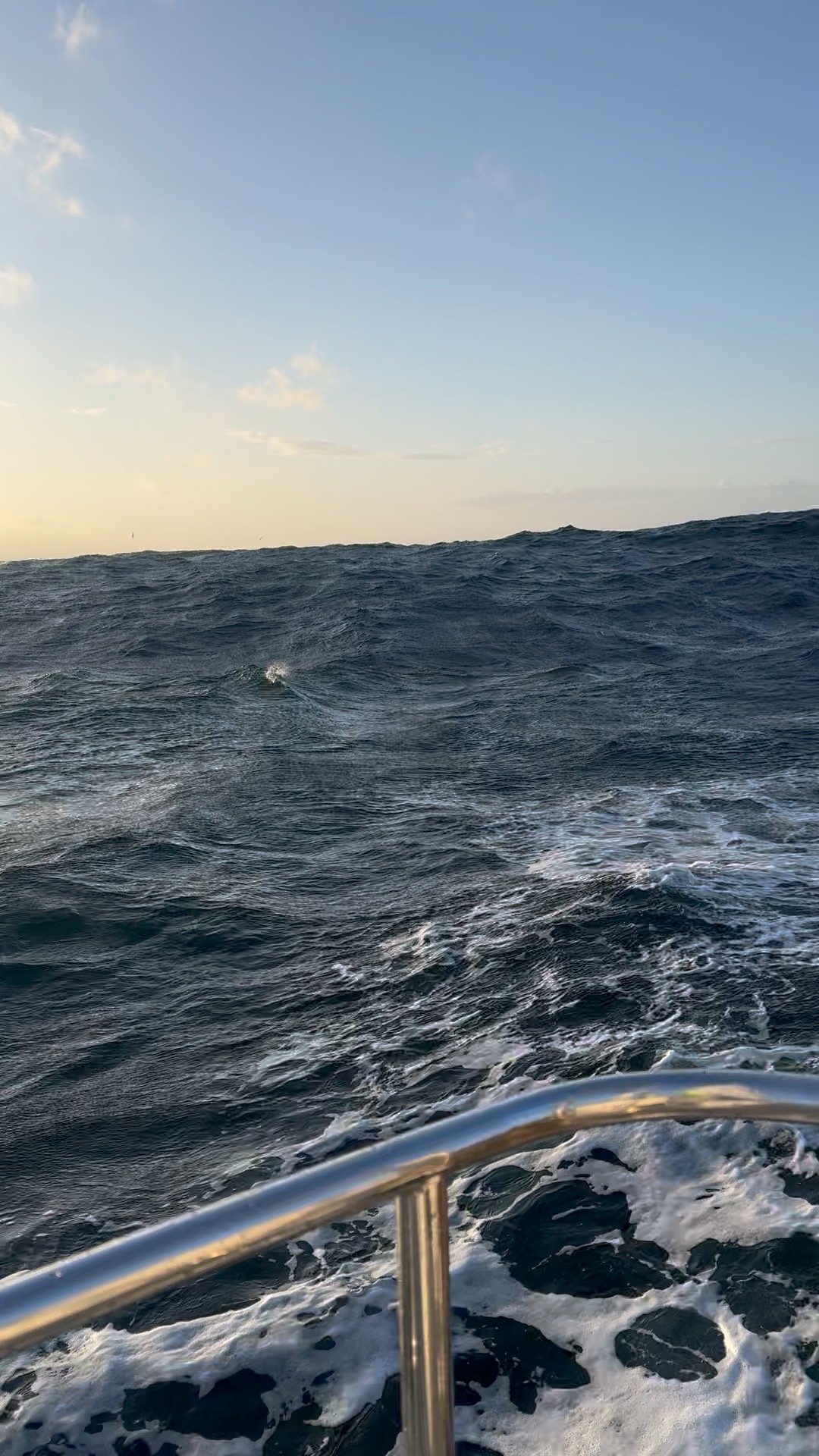 80ACFE01-2617-4265-9FCF-39DFC02CF473_1_102_o